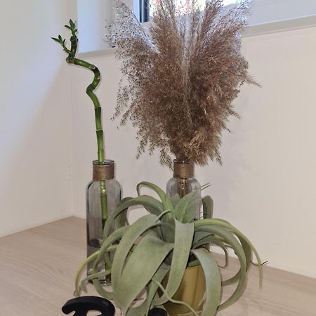 Balance Apartments Κόπερ Εξωτερικό φωτογραφία